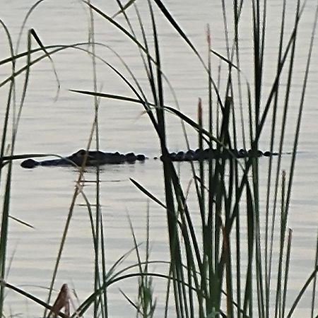Camp St. Cabanas Unit 2 On Lake Dora 타바레스 외부 사진