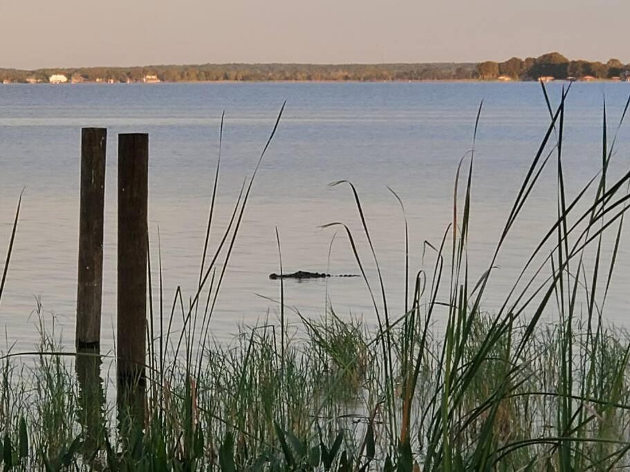 Camp St. Cabanas Unit 2 On Lake Dora 타바레스 외부 사진
